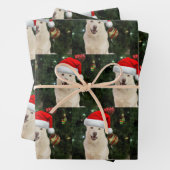 Santa Paws - Crystal the Husky Geschenkpapier Set (Beispiel)