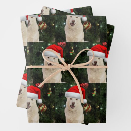 Santa Paws - Crystal the Husky Geschenkpapier Set (Beispiel)