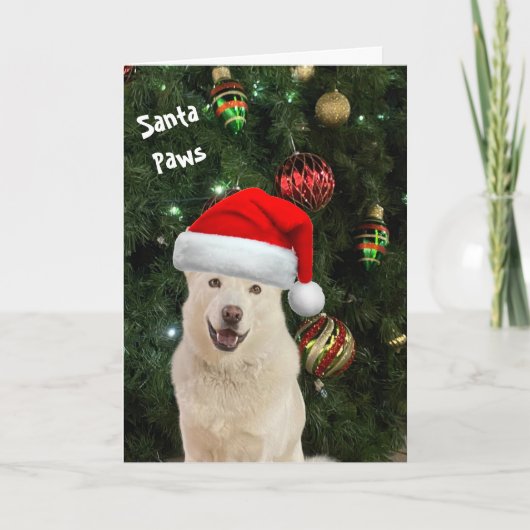 Santa Paws - Die glückliche Husky Grußkarte Karte (Vorderseite)