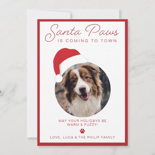 Santa Paws Foto Feiertagskarte (Vorderseite)