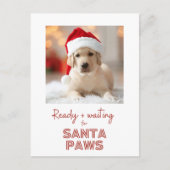 Santa Paws - Hundefreund Weihnachten (Vorderseite)