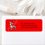 Santa Paws Italian Greyhound Rücksendeadresse (Insitu)