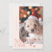 Santa Paws kam Hund Foto Peach Weihnachten (Vorderseite)