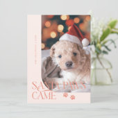 Santa Paws kam Hund Foto Peach Weihnachten (Stehend Vorderseite)