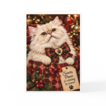 Santa Paws kommt in die Stadt Personalisierter Per
