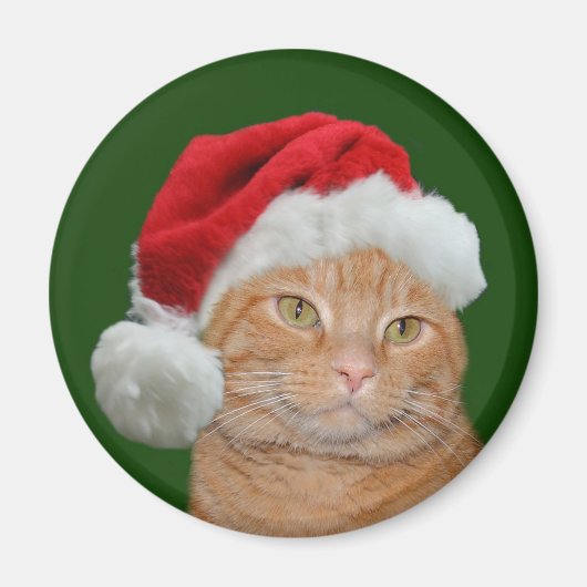 Santa Paws Magnet (Vorne)