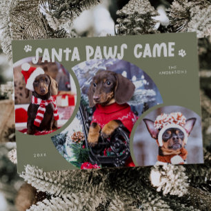 Santa Paws Sage Green Dog Foto Ferienkarte Feiertagskarte