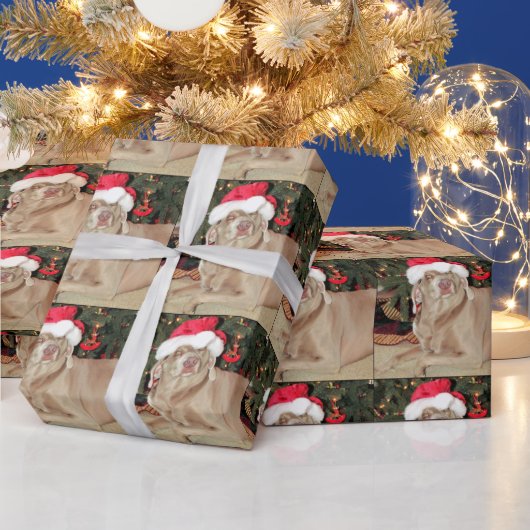 Santa Paws - Weimaraner Hund Weihnachten Geschenkpapier (Feiertage)