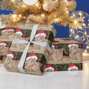 Santa Paws - Weimaraner Hundestil Geschenkpapier