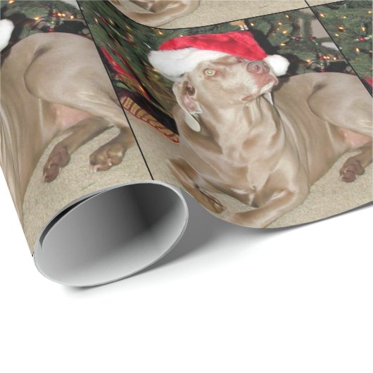 Santa Paws - Weimaraner Stil - Hunde Weihnachten Geschenkpapier (Rolleneckpunkt)