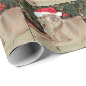 Santa Paws - Weimaraner Stil - Packpapier (Rolleneckpunkt)