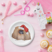 Santa Pekingese Pappteller (Party)