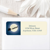 Santa Pirate Schiff mit Delphinen Weihnachtsfeiert (Insitu)