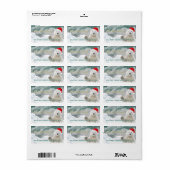 Santa Polar Bear | Zollrechtliche Rücksendeadresse Adressaufkleber (Vorne)