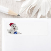 Santa Poodle Rücksendeadresse/Geschenketiketten (Insitu)