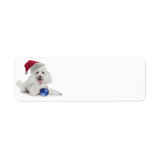 Santa Poodle Rücksendeadresse/Geschenketiketten (Vorne)