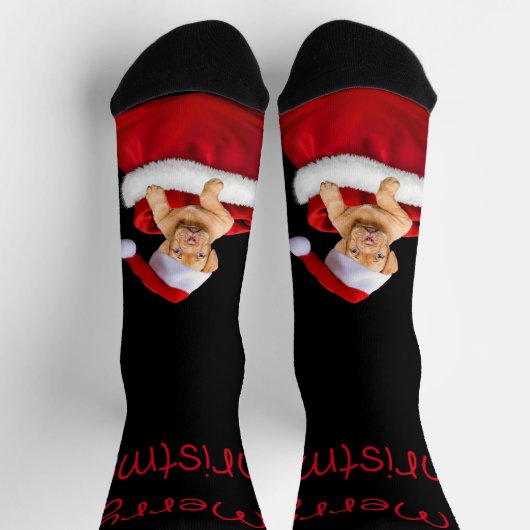 Santa Puppy Crew Socks Socken (Oben)