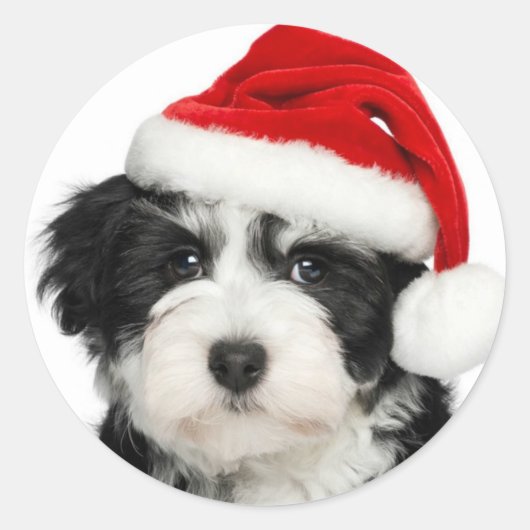 Santa Puppy Round Aufkleber (Vorderseite)
