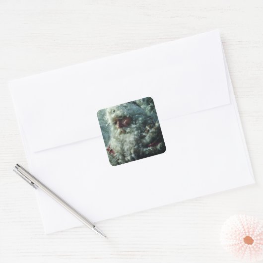 Santa Quadratischer Aufkleber (Umschlag)