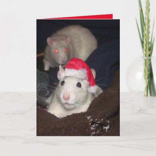 Santa Rat Christmas Card Karte (Vorderseite)