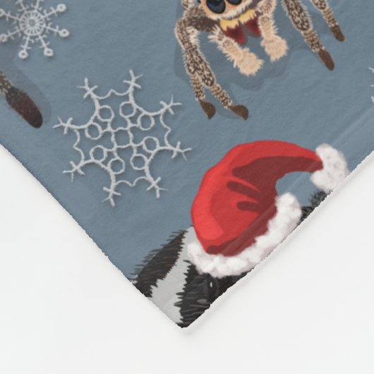 Santa Regal Jumping Spider Phidippus Regius Fleecedecke (Ecke)