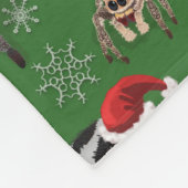 Santa Regal Jumping Spider Phidippus Regius grün Fleecedecke (Ecke)