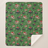 Santa Regal Jumping Spider Phidippus Regius grün Sherpadecke (Vorderseite)