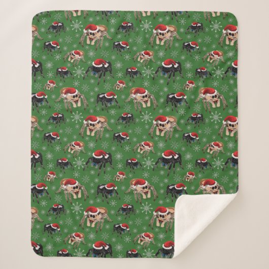 Santa Regal Jumping Spider Phidippus Regius grün Sherpadecke (Vorderseite)