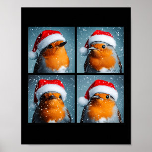 Santa Robin RedbrustWinter Bird Fotografie Chri Poster
