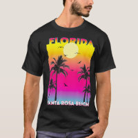 Santa Rosa Beach Florida Fl Sommer Vintager Sonnen