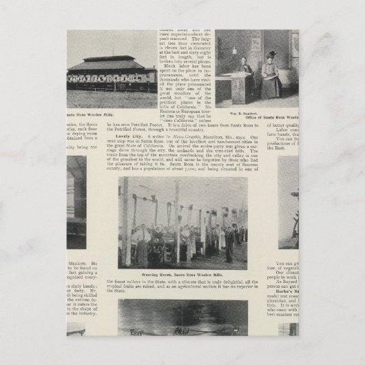 Santa Rosa, Kalifornien Postkarte (Vorderseite)