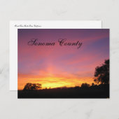 Santa Rosa Sunset Postkarte (Vorne/Hinten)