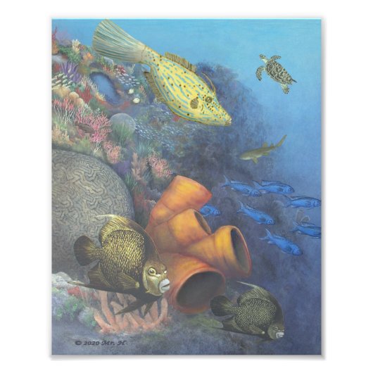 Santa Rosa Wall 2 Fine Art Print Fotodruck (Vorne)