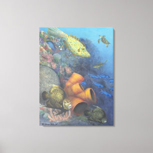 Santa Rosa Wall 2 Fine Art umwickelter Leinwanddru Leinwanddruck