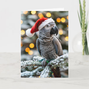 Santa’s kleiner afrikanischer Grauhelfer  Karte
