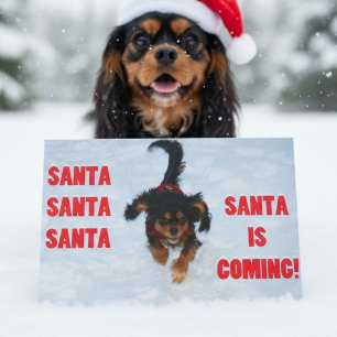 Santa, Santa, Santa Cavalier King Charles Spaniel Feiertagskarte