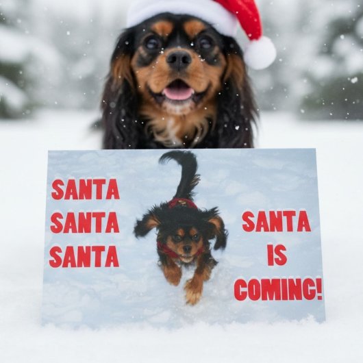Santa, Santa, Santa Cavalier King Charles Spaniel Feiertagskarte