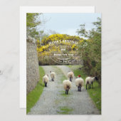 Santa Sheep Feiertagskarte (Vorne/Hinten)