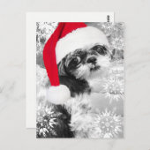 Santa Shih Tzu Girl Postcard Postkarte (Vorne/Hinten)