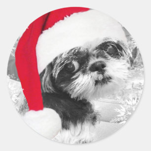 Santa Shih Tzu Girl Stickers