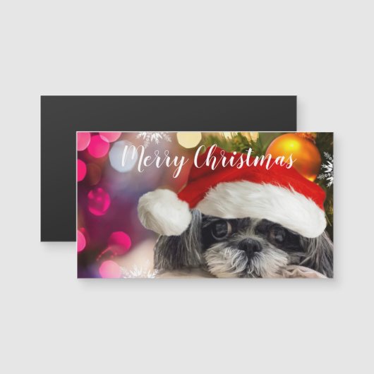 Santa Shih Tzu Weihnachten Magnetkarte (Vorne/Hinten)