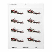Santa Sled Pulled By Hippopotamus (Vorne)