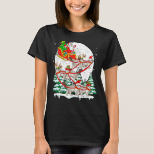 Santa Sleigh Ragdoll Cats Xmas Cat Owner T-Shirt