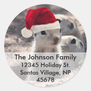 Santa Squirrel Address Labels Runder Aufkleber