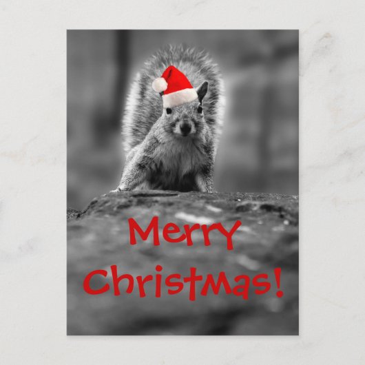 Santa Squirrel Frohe Weihnachts Postkarte (Vorderseite)