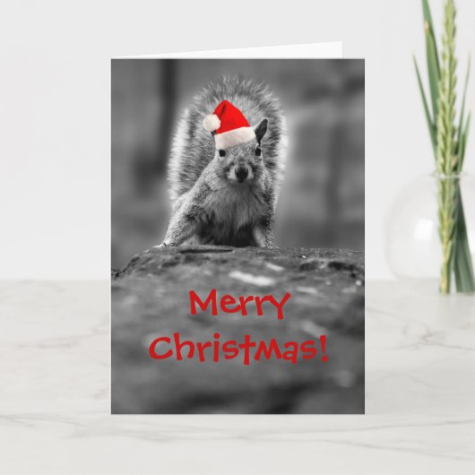 Santa Squirrel Frohe Weihnachtskarte Feiertagskarte (Vorderseite)