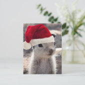 Santa Squirrel Postcard Feiertagspostkarte (Stehend Vorderseite)
