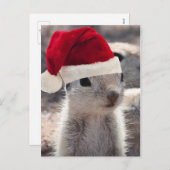 Santa Squirrel Postcard Feiertagspostkarte (Vorne/Hinten)