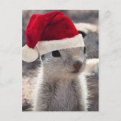 Santa Squirrel Postcard Feiertagspostkarte (Vorderseite)