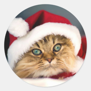 Santa Tabby Cat Classic Round Aufkleber